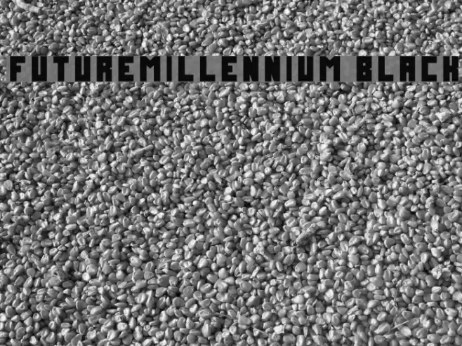 FutureMillennium Black Font examples