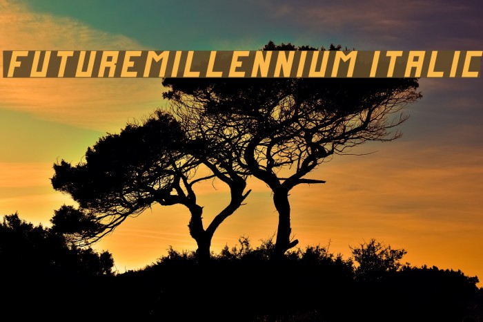 FutureMillennium Italic Font examples