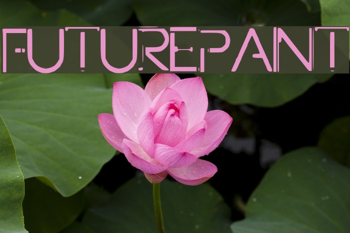 FuturePaint Font examples