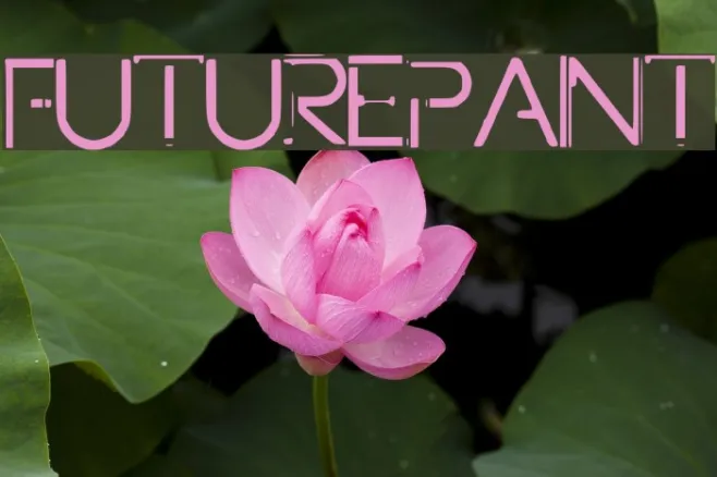 FuturePaint Example 2