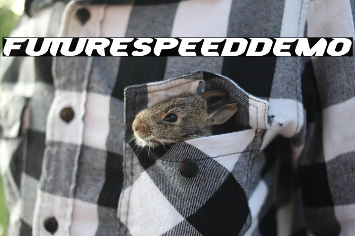 FutureSpeedDemo Example 2