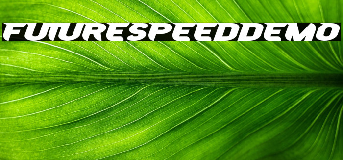 FutureSpeedDemo Example 3