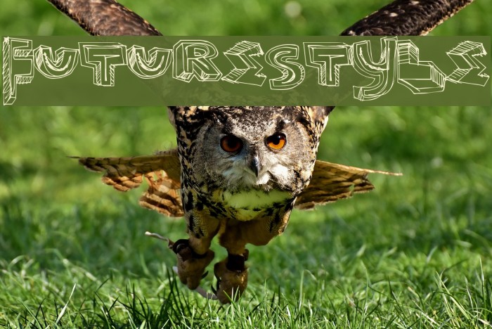 FutureStyle Fuentes examples