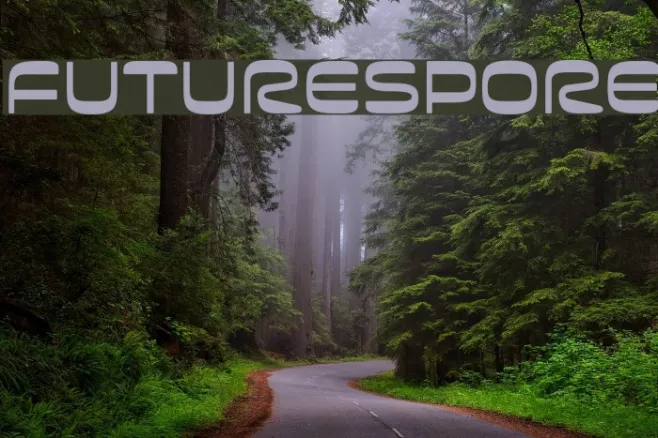 Futurespore Example 1