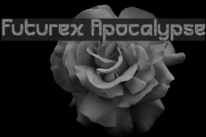 Futurex Apocalypse Fuentes examples
