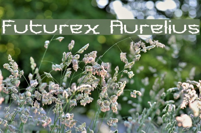 Futurex Aurelius Font examples