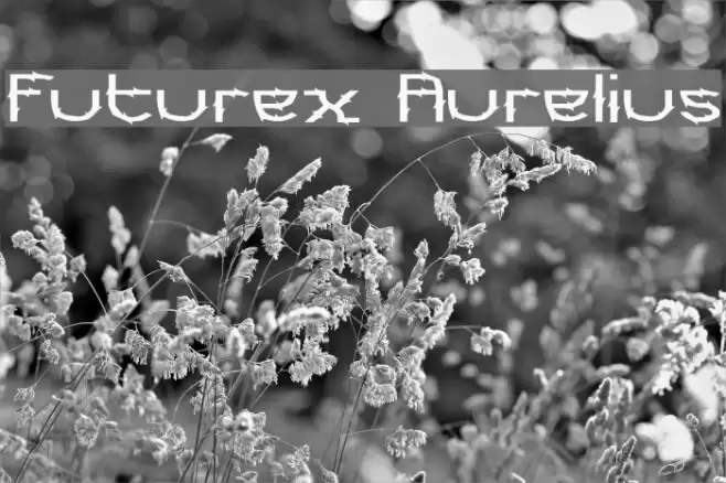 Futurex Aurelius Polices examples