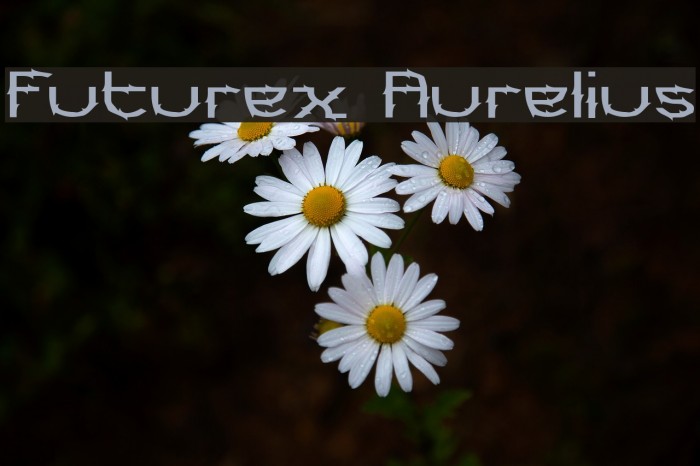 Futurex Aurelius Font examples