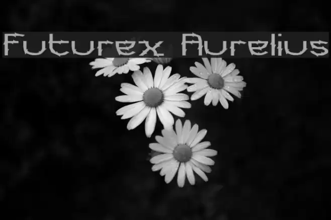 Futurex Aurelius Polices examples