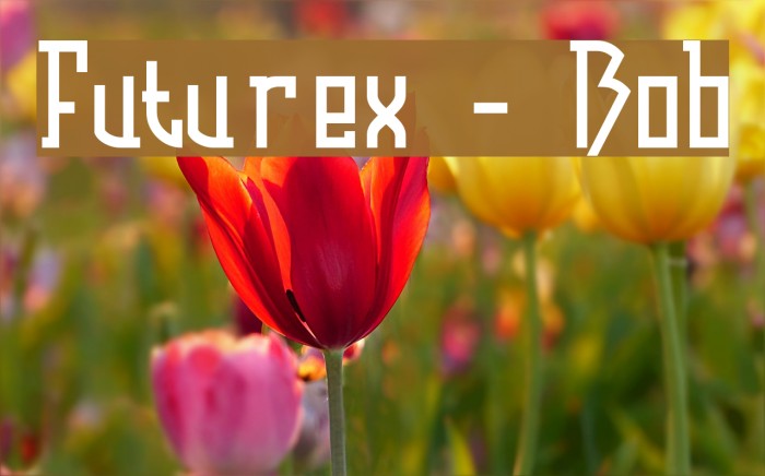 Futurex - Bob Font examples