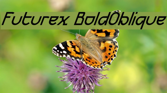 Futurex BoldOblique Font examples