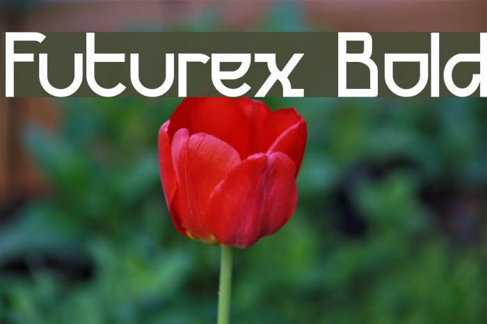 Futurex Bold Font examples