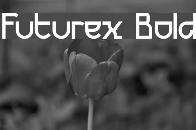 Futurex Bold Шрифта examples