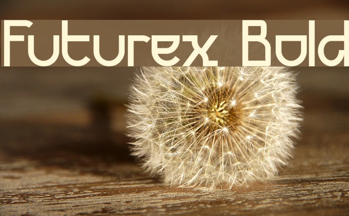 Futurex Bold Font examples