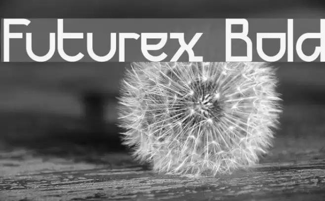 Futurex Bold Шрифта examples