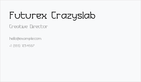 Futurex Crazyslab Business Card