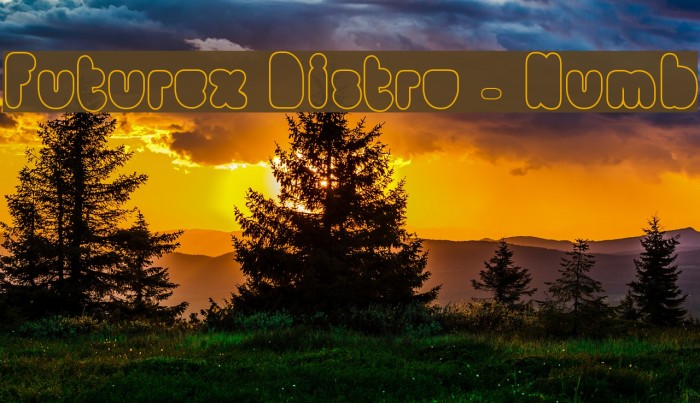 Futurex Distro - Numb Example 1