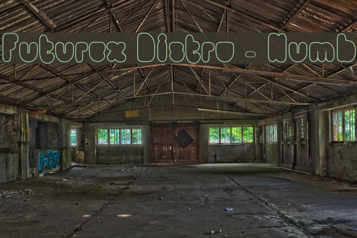 Futurex Distro - Numb Example 2