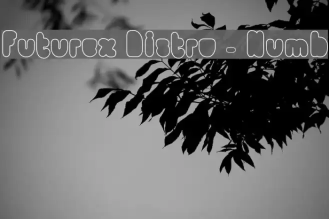 Futurex Distro - Numb Font examples