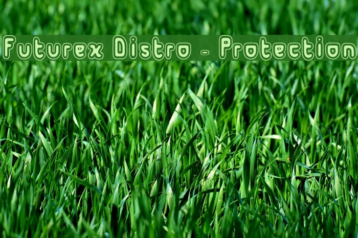 Futurex Distro - Protection Font examples