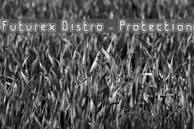 Futurex Distro - Protection Polices examples