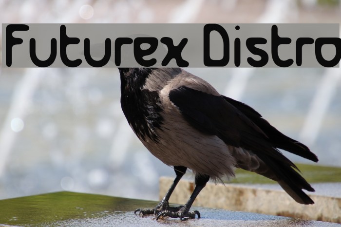 Futurex Distro Font examples