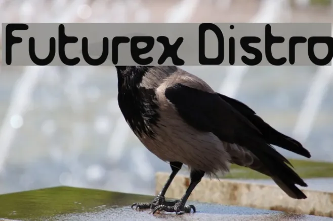 Futurex Distro Example 3