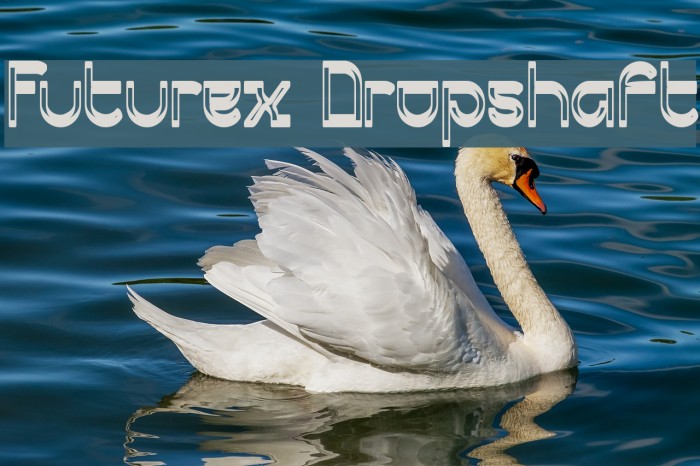 Futurex Dropshaft Font examples