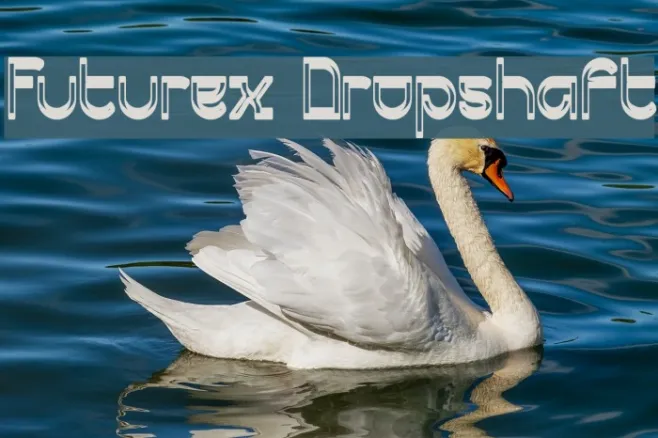 Futurex Dropshaft Example 2