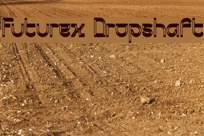 Futurex Dropshaft Example 3