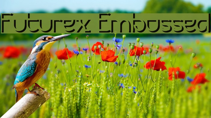 Futurex Embossed Font examples