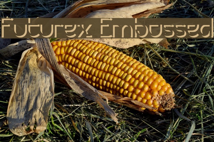 Futurex Embossed Font examples