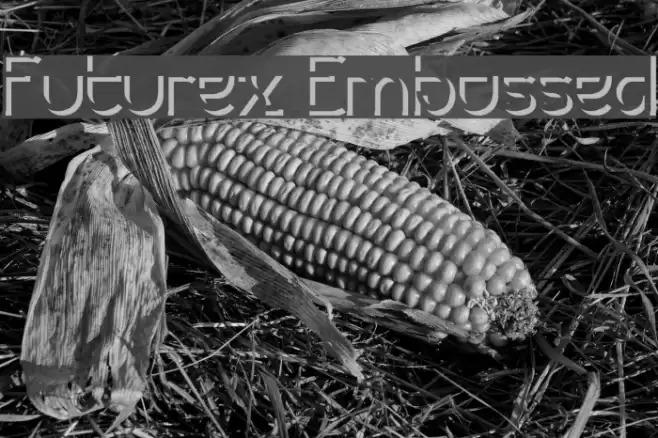 Futurex Embossed Font examples