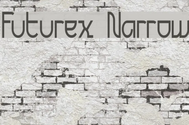 Futurex Narrow Example 1