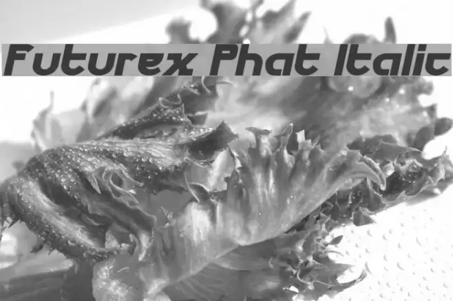 Futurex Phat Italic Schriftart examples