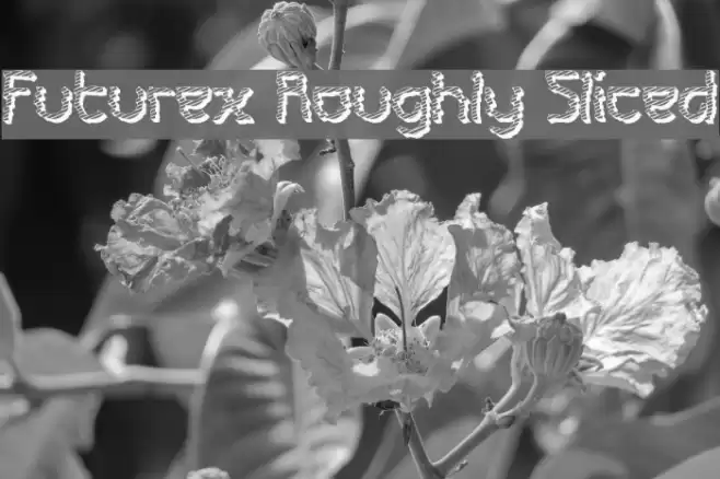 Futurex Roughly Sliced Font examples