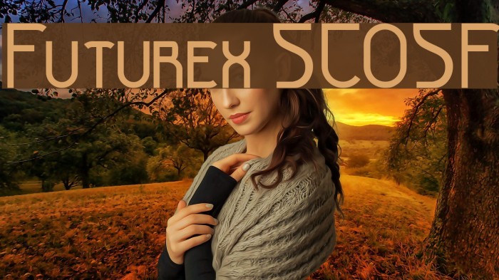 Futurex SCOSF Font examples
