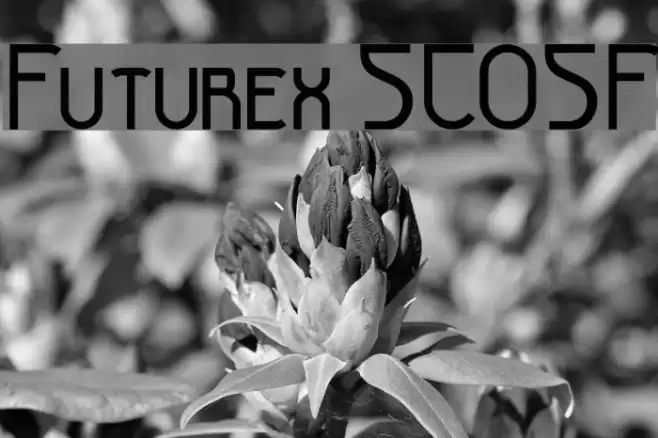 Futurex SCOSF Font examples