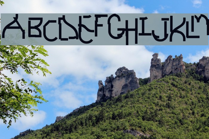 Futurex Schizmatic Example 1