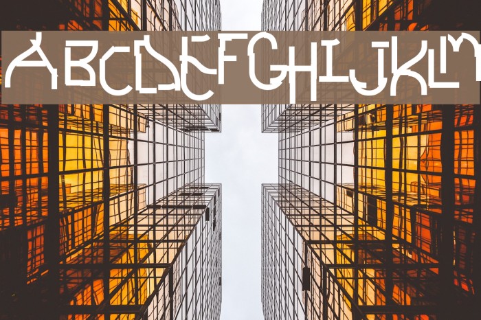 Futurex Schizmatic Example 2