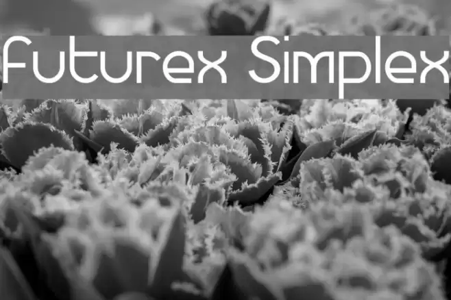 Futurex Simplex Font examples