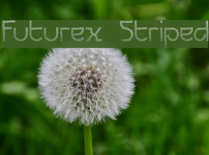 Futurex Striped Font examples