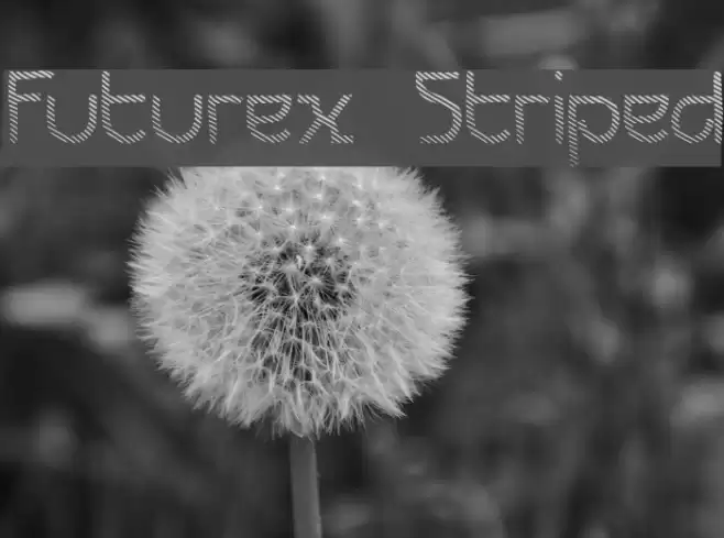 Futurex Striped Шрифта examples