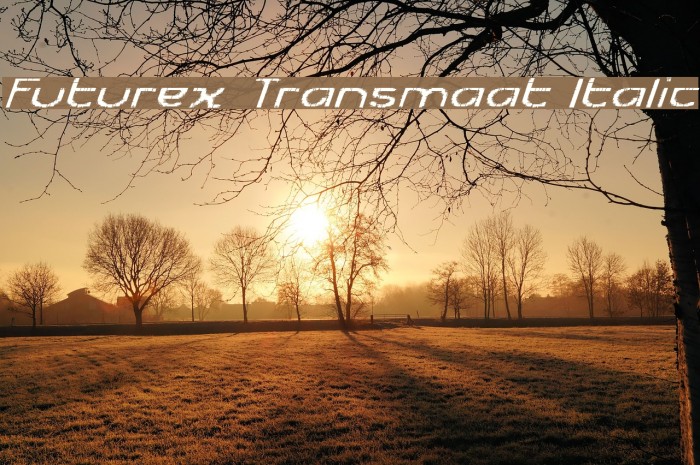 Futurex Transmaat Italic Example 1