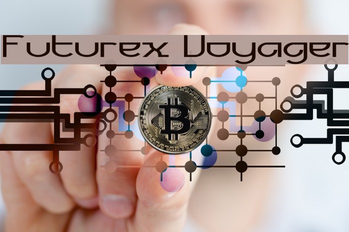 Futurex Voyager Example 1