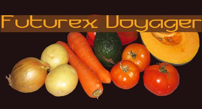 Futurex Voyager Example 2