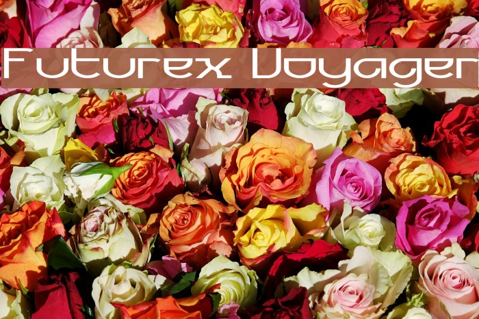 Futurex Voyager Example 3