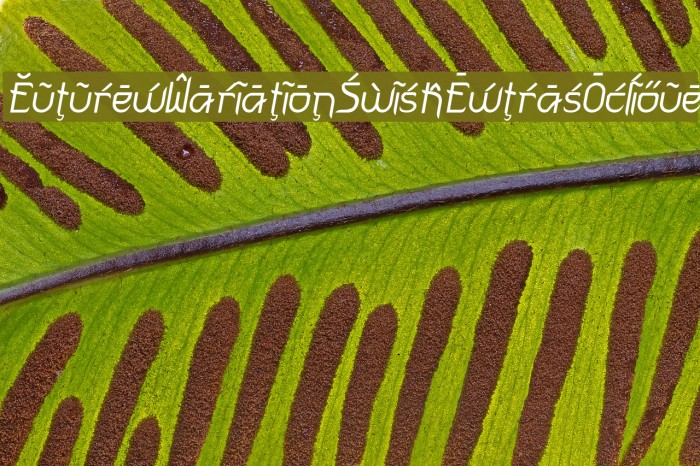 FuturexVariationSwishExtrasOblique Font examples