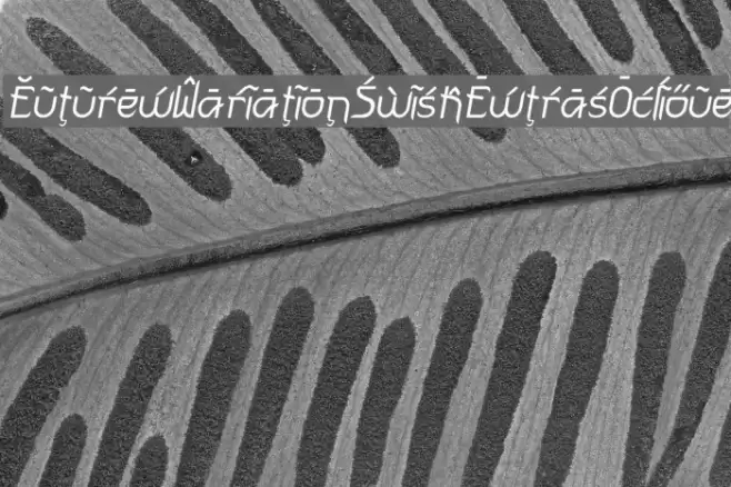 FuturexVariationSwishExtrasOblique フォント examples