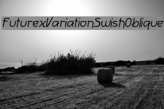 FuturexVariationSwishOblique Schriftart examples